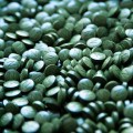 spirulina 6.jpg
