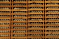 our_method-06-full.jpg