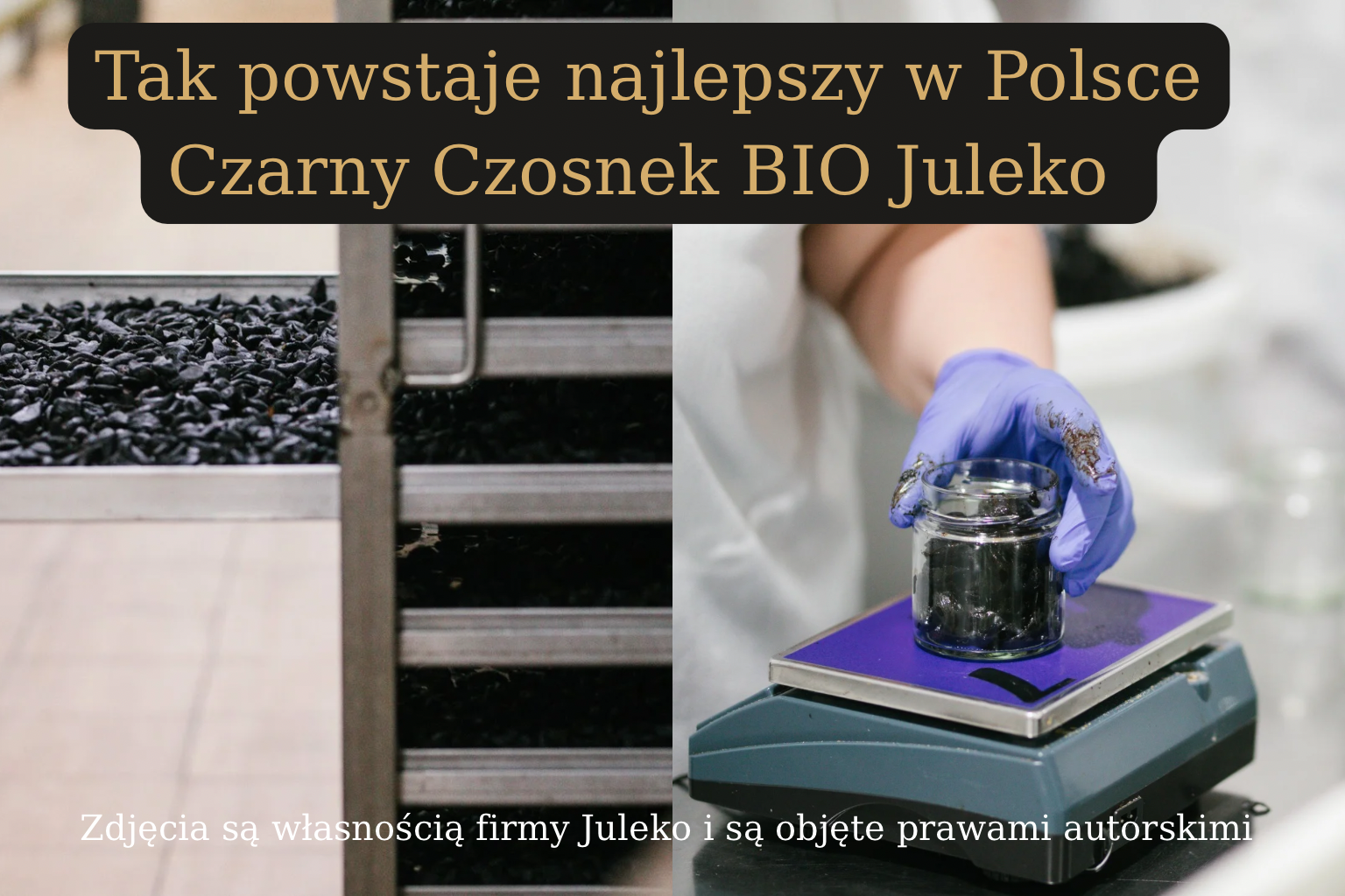 Jak powstaje czarny czosnek